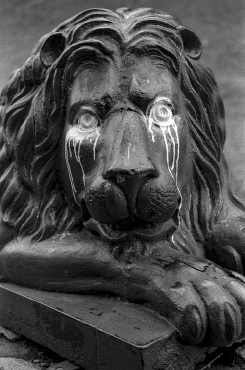 Lion, artist Solon Borglum and unknown