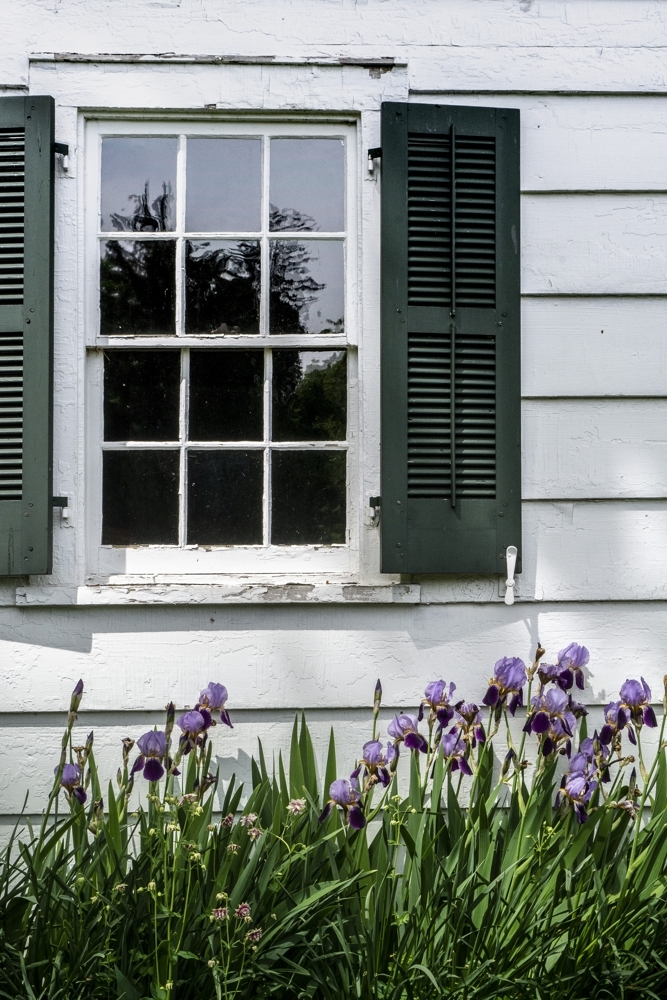Window with Irises